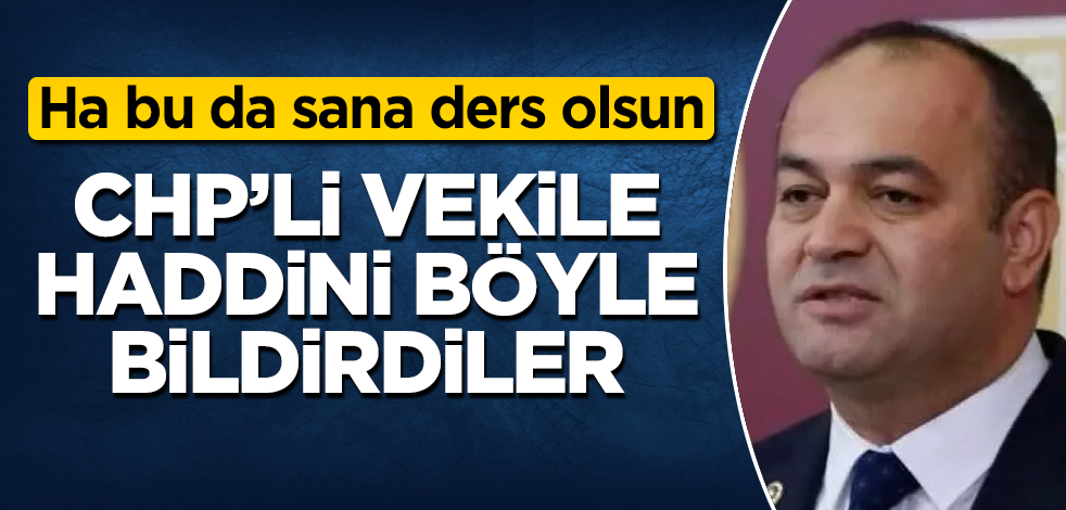 CHP'li o vekile haddini böyle bildirdiler! Ha bu da sana ders olsun