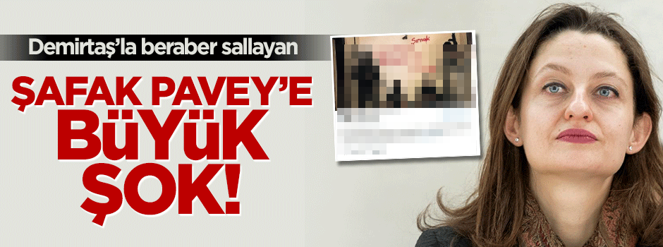CHP'li Pavey'in Twitter hesabı hacklendi