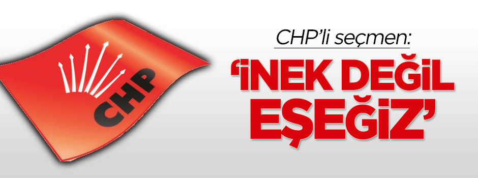 CHP'li seçmen: İnek değil, eşeğiz