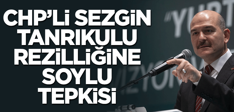CHP'li Sezgin Tanrıkulu rezilliğine Süleyman Soylu tepkisi