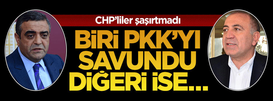 CHP'li Sezgin Tanrıkulu ve Gürsel Tekin'den skandal açıklamalar