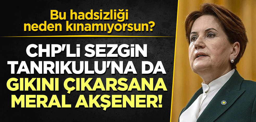 CHP'li Sezgin Tanrıkulu'na da gıkını çıkarsana Meral Akşener! Bu hadsizliği neden kınamıyorsun?