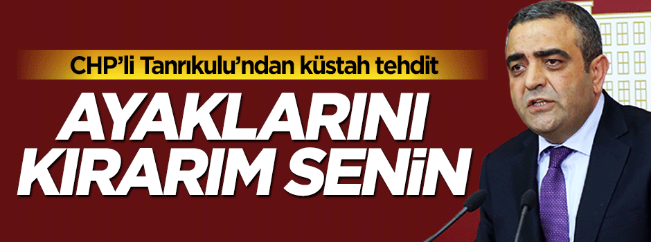 CHP'li Sezgin Tanrıkulu'ndan AK Partile vekile 'ayaklarını kırarım' tehdidi