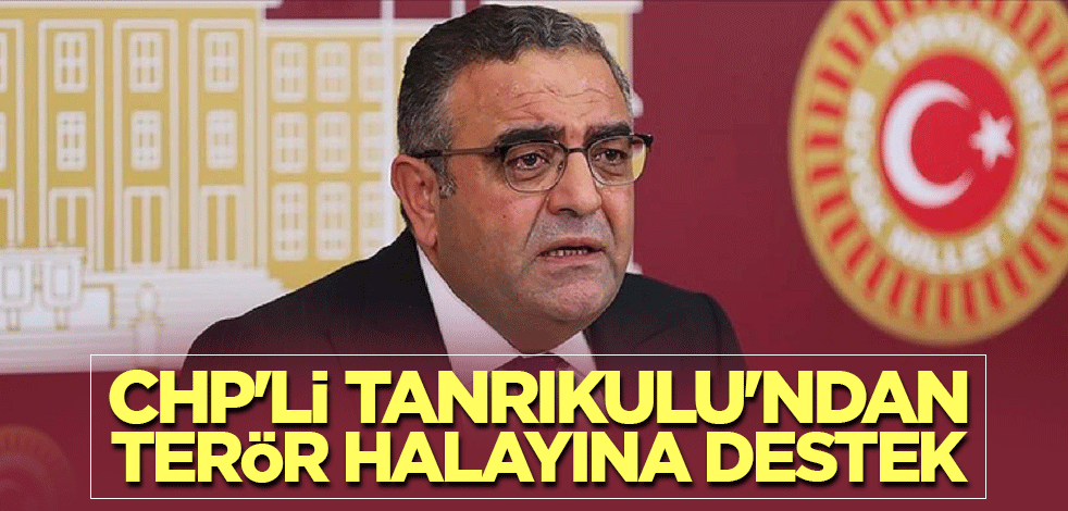 CHP'li Sezgin Tanrıkulu'ndan terör halayına destek