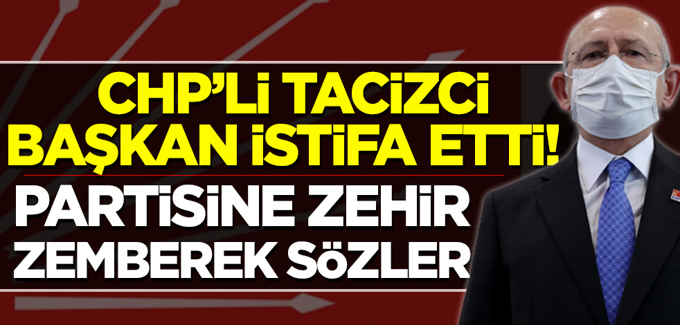 CHP'li tacizci başkan zehir zemberek sözlerle partisinden istifa etti