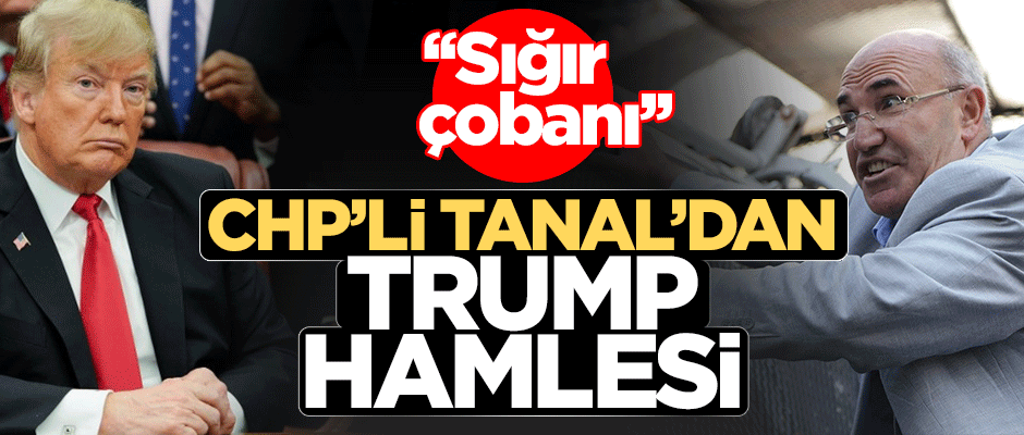 CHP'li Tanal'dan 'Trump' hamlesi! "Sığır çobanı"