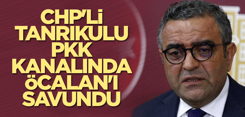 CHP'li Tanrıkulu PKK kanalında Öcalan'ı savundu