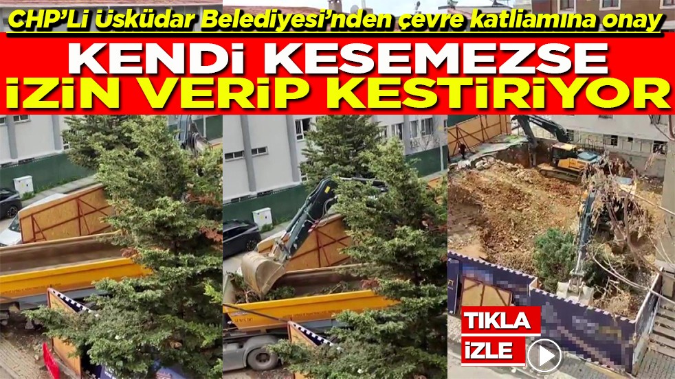 CHP’Lİ Üsküdar Belediyesi’nden çevre katliamına onay Kendi kesemezse izin verip kestiriyor