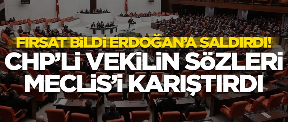 CHP'li vekil Erdoğan'a kin kustu! Meclis'i karıştıran sözler