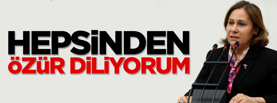 CHP'li vekil Kürtlerden özür diledi