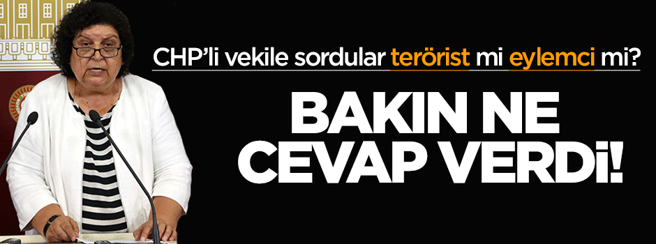 CHP'li vekil PKK'lıya terörist diyemedi!