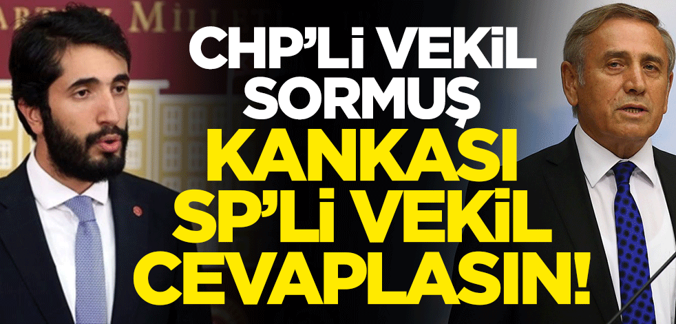 CHP’li vekil sormuş, kankası SP’li vekil cevaplasın!