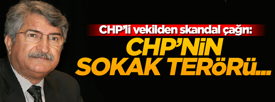 CHP'li vekilden skandal çağrı: Sokak terörü organize edelim!