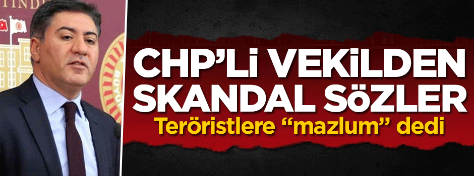 CHP'li vekilden skandal sözler