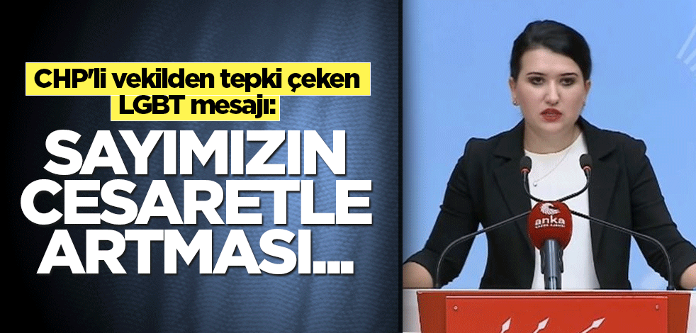 CHP'li vekilden tepki çeken LGBT mesajı: Sayımızın cesaretle artması...