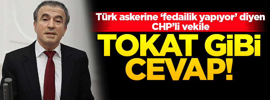 CHP'li vekile tokat gibi 'fedai' cevabı!