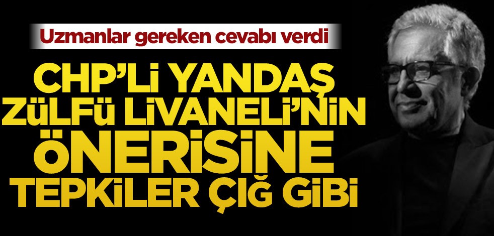 CHP’li yandaş Zülfü Livaneli’nin önerisine tepki yağdı! Uzmanlardan kritik uyarı