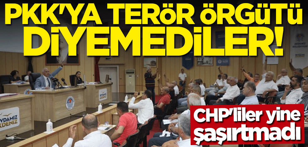 CHP'liler yine şaşırtmadı! PKK'ya terör örgütü diyemediler