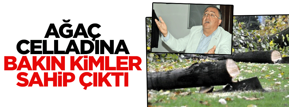 CHP'nin ağaç celladına kilise sahip çıktı