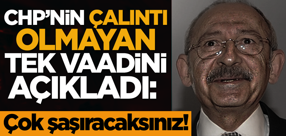 CHP’nin çalıntı olmayan tek vaadini açıkladı: Çok şaşıracaksınız!
