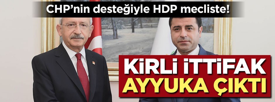 CHP'nin desteğiyle HDP meclise girdi