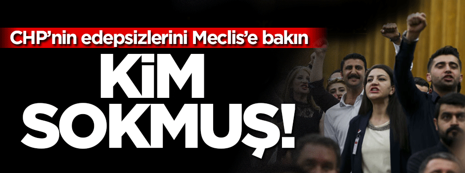 CHP'nin edepsizlerini bakın Meclis'e kim sokmuş!