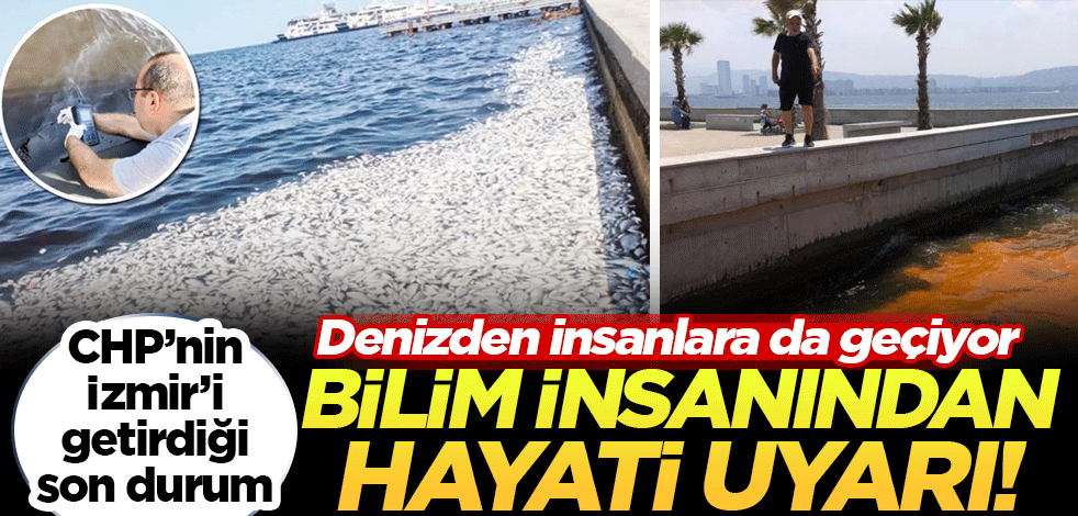 CHP'nin İzmir'i getirdiği son durum: Denizden insanlara da geçiyor!