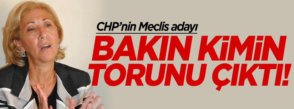 CHP'nin Meclis başkan adayı Ayşe Gülsün Bilgehan kimdir?