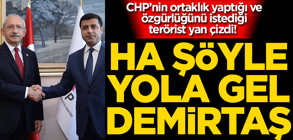 CHP’nin ortaklık yaptığı ve özgürlüğünü istediği terörist yan çizdi! Aferin şöyle yola gel Selahattin!