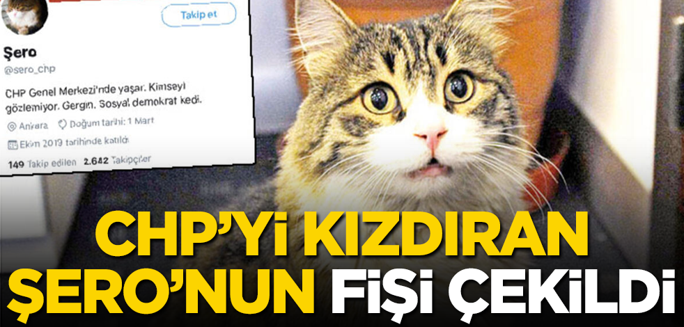 CHP'nin Şero'sunun fişi çekildi! Twitter hesabı kapatıldı