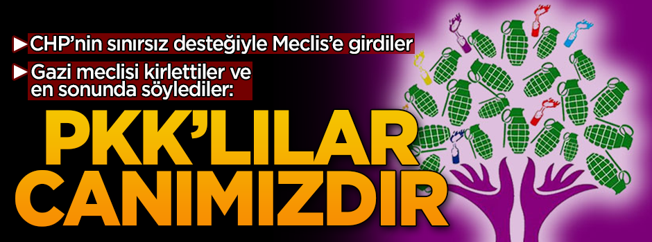 CHP'nin sınırsız desteklerle Meclis'e soktuğu HDP: PKK'lılar canımızdır