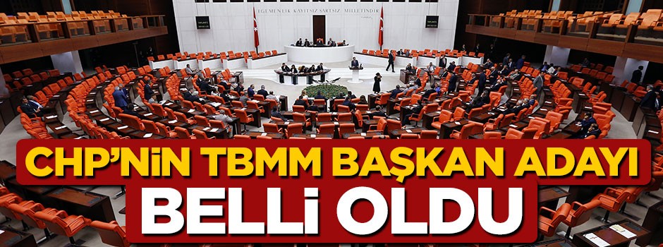 CHP'nin TBMM Başkanı adayı Zekeriya Temizel oldu