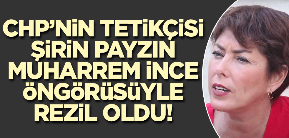 CHP'nin tetikçisi Şirin Payzın Muharrem İnce öngörüsüyle kendisini rezil etti!