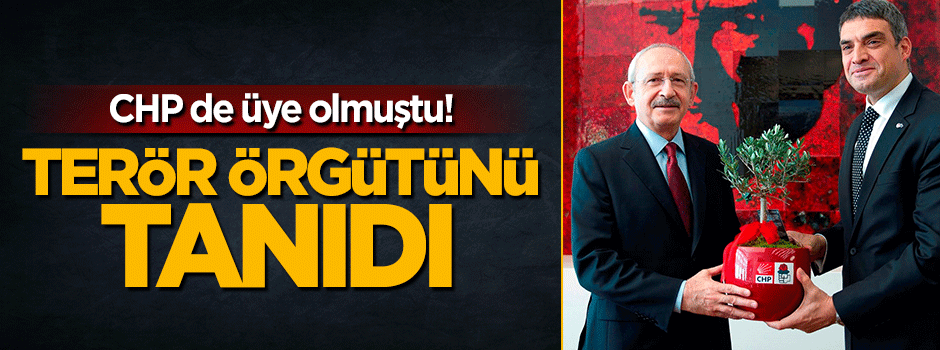 CHP'nin üyesi olduğu kurum terör örgütü YPG'yi tanıdı