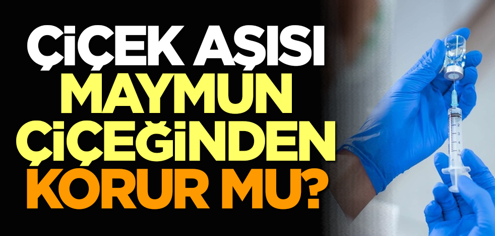Çiçek aşısı maymun çiçeğinden korur mu?