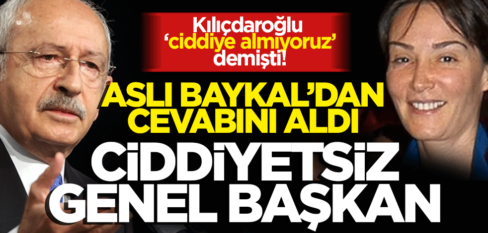 ‘Ciddiye almıyoruz’ demişti! Aslı Baykal’dan cevabını aldı