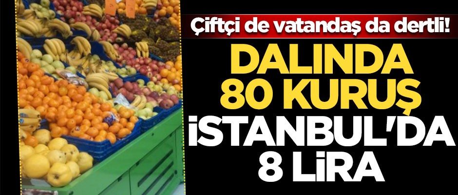 Çiftçi de vatandaş da dertli! Dalında 80 kuruş, İstanbul'da 8 lira