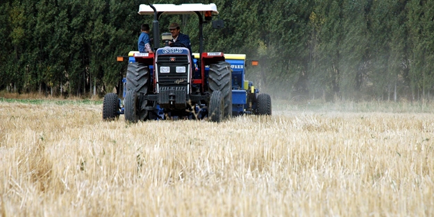 25 bin çiftçiye hububat desteği ödenecek