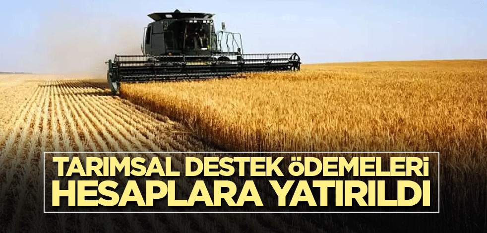 Çiftçilere müjde! Tarımsal destek ödemeleri hesaplara yatırıldı