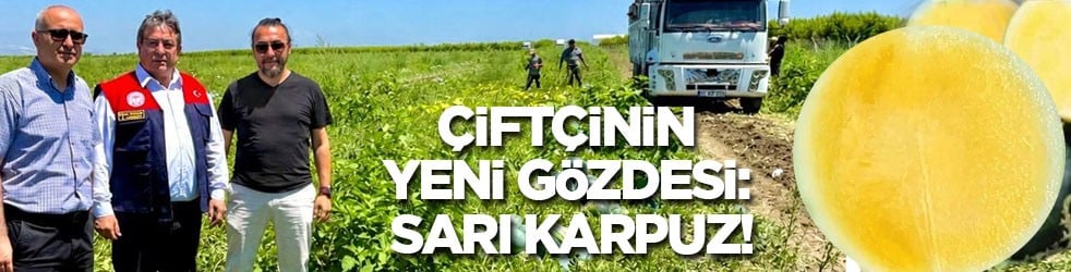 Çiftçinin ‘yüz güldüren’ yeni gözdesi: Sarı karpuz!