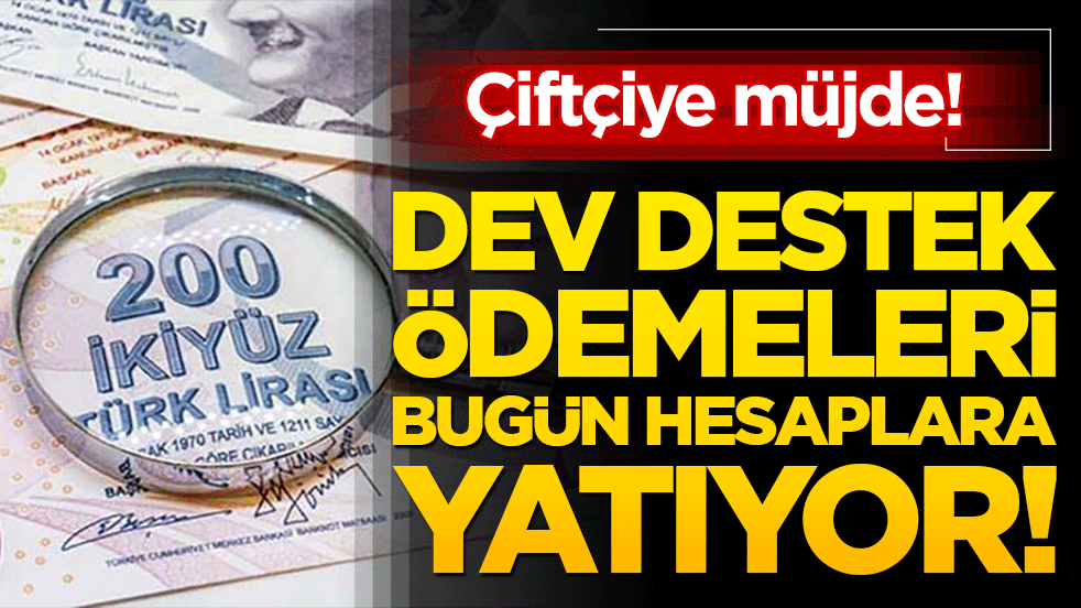 Çiftçiye müjde! Dev destek ödemeleri bugün hesaplara yatıyor!