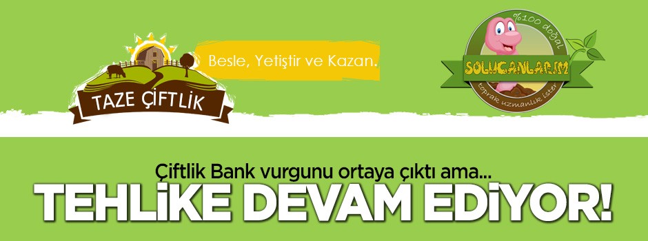 Çiftlik Bank benzeri siteler vurguna devam ediyor!