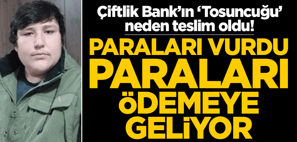 Çiftlik Bank dolandırıcısı Mehmet Aydın Türkiye'ye dönüyor! 'Tosuncuk' neden teslim oldu?