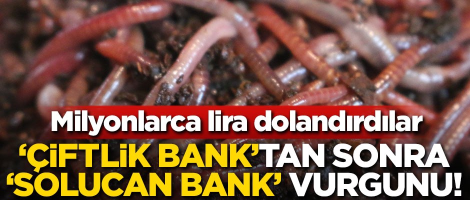Çiftlik Bank'tan sonra şimdi de 'Solucan Bank' dolandırıcılığı!