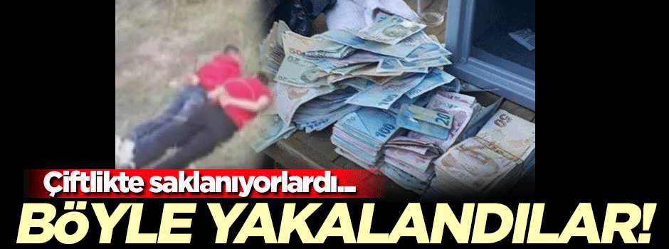Çiftlikte gizleniyorlardı! Böyle yakalandılar...