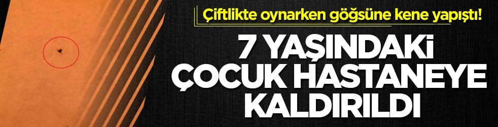 Çiftlikte oynarken göğsüne kene yapıştı! 7 yaşındaki çocuk hastaneye kaldırıldı