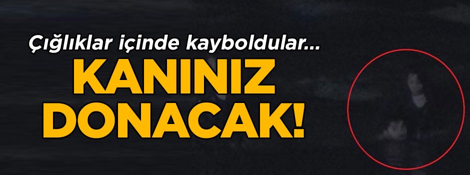 Çığlıklar içinde kayboldular…Kanınız donacak!