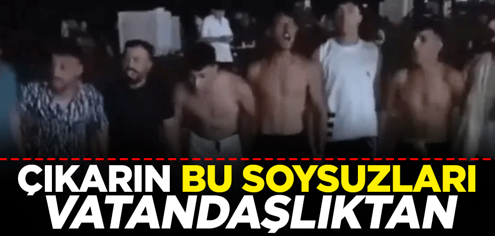 Çıkarın bu soysuzları vatandaşlıktan! Bebek katili sloganlarıyla halay çeken PKK yandaşları paketlendi
