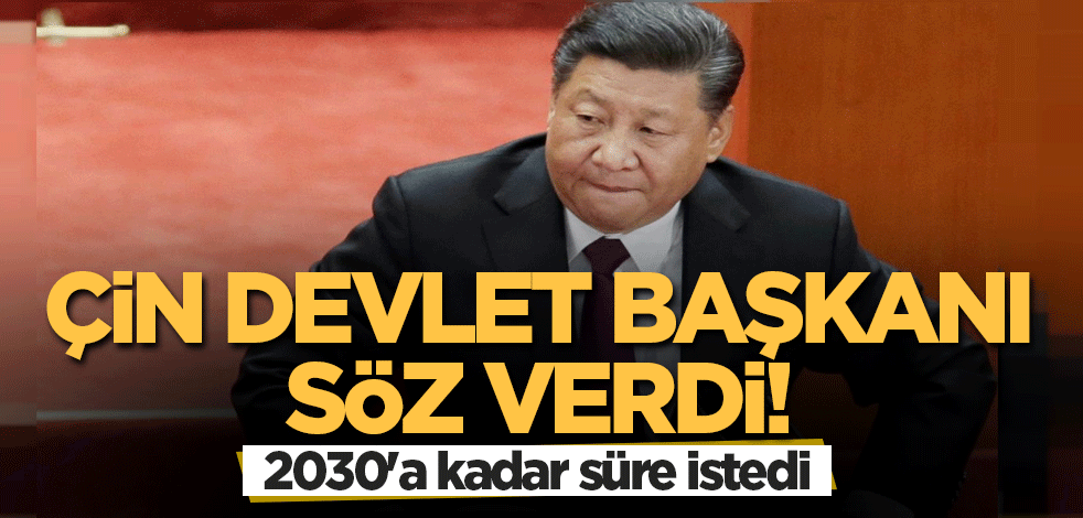 Çin Devlet Başkanı Şi Cinping söz verdi! 2030'a kadar süre istedi