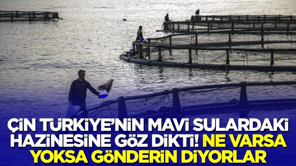 Çin, Türkiye'nin mavi sulardaki hazinesine göz dikti: Ne var ne yok istiyorlar
